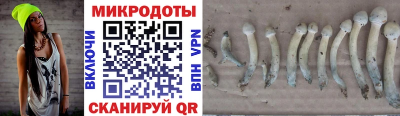 Купить закладки  Железногорск-Илимский  Псилоцибиновые грибы MAGIC MUSHROOMS 